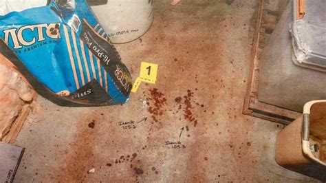 murdaugh murders photos|Murdaugh Murders: Crime Scene Photos Shown in Court